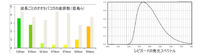 波長ごとのオオタバコガの卵数とレピガードのLEDの波長